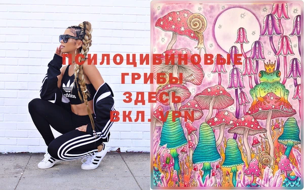 ГАЛЛЮЦИНОГЕННЫЕ ГРИБЫ Армянск