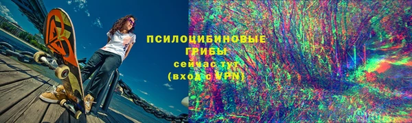 Альфа ПВП Арсеньев