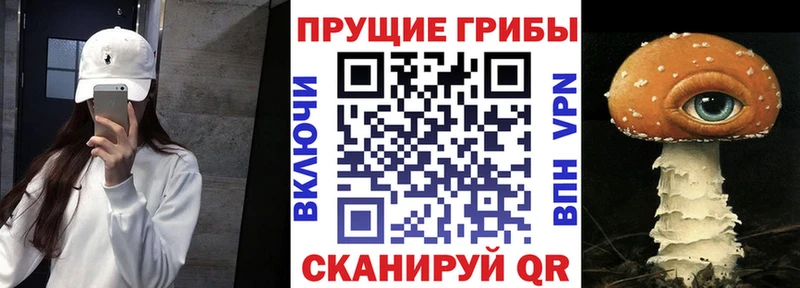 Псилоцибиновые грибы MAGIC MUSHROOMS MEGA ссылка Спасск-Дальний